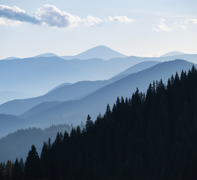 宁波义曼纺织有限公司。